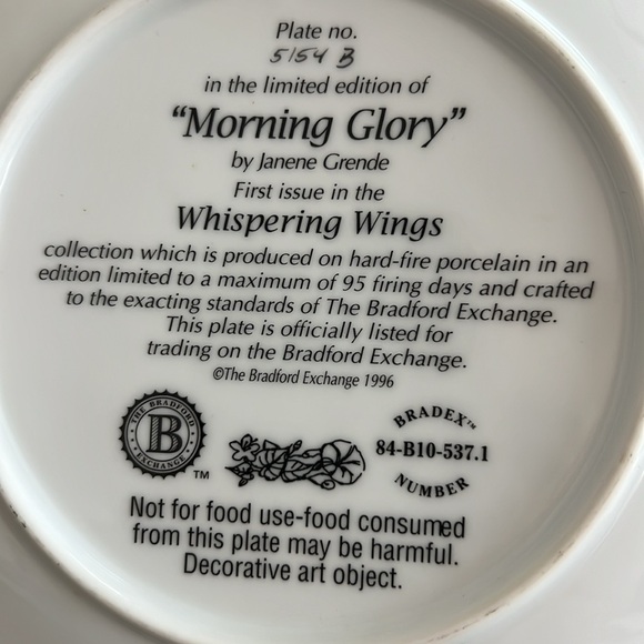 Hummingbird floral decorative plate - Picture 4 of 5